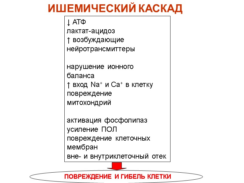 ИШЕМИЧЕСКИЙ КАСКАД ↓ АТФ лактат-ацидоз ↑ возбуждающие нейротрансмиттеры  нарушение ионного  баланса ↑